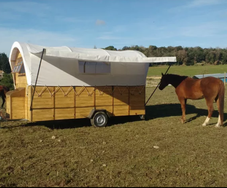 CARRETA WESTERN EN VENTA