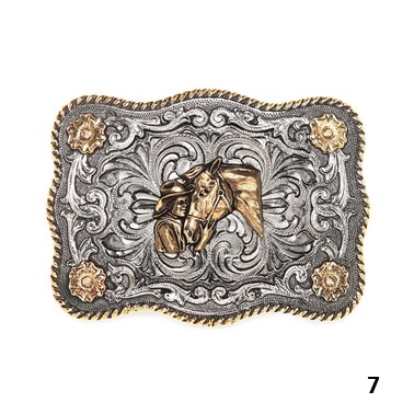 HEBILLA PRO - ULTIMAS UNIDADES - ANTES 60€