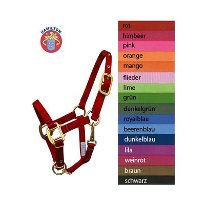 CABEZADAS HAMILTON PONI Y POTROS