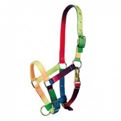 CABEZADA DE CUADRA PONI